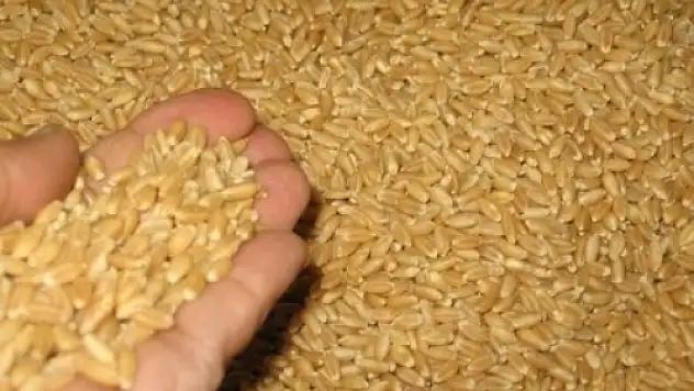 Uşak Ticaret Borsası