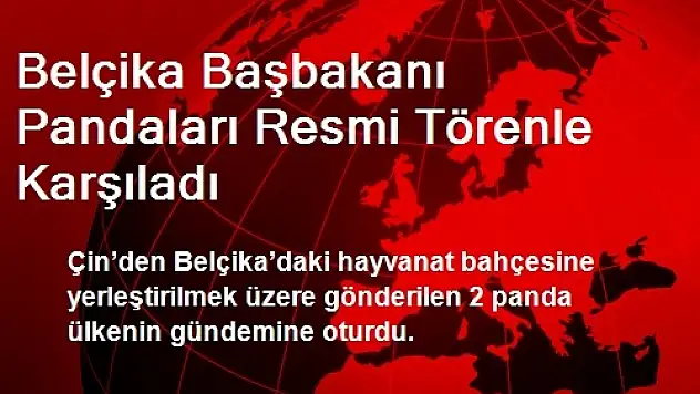 Belçika Başbakanı Pandaları Resmi Törenle Karşıladı