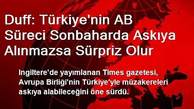 Duff: Türkiye'nin AB Süreci Sonbaharda Askıya Alınmazsa Sürpriz Olur
