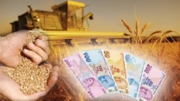 Tarımsal Destekleme Ödemeleri