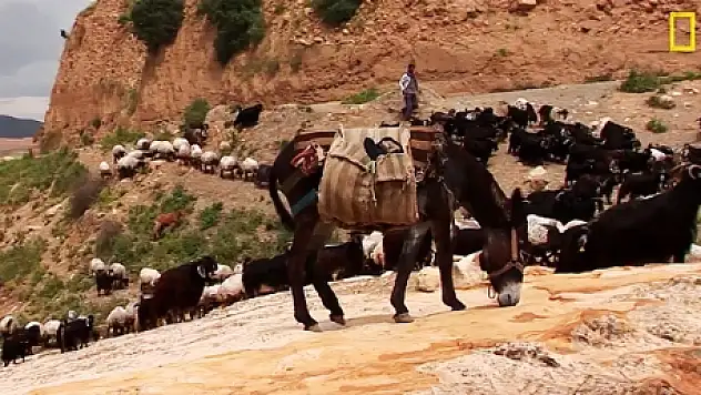 National Geographic'ten Hasankeyf Belgeseli