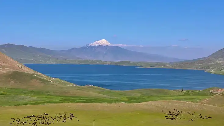 Ağrı Balık Gölü Şenliği'nde Kavga: 2 Yaralı, 1 Kişinin Durumu Ağır