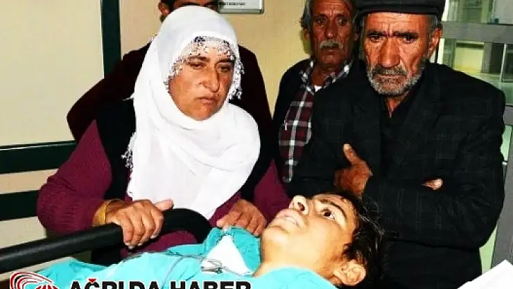 Elektrik Tellerinde Mahsur Kalan Kuşu Kurtarırken Akıma Kapılan Çobanın Elleri Kesildi