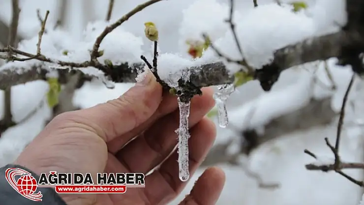 Meteoroloji'den Ağrı'da Don ve Buzlanma Uyarısı