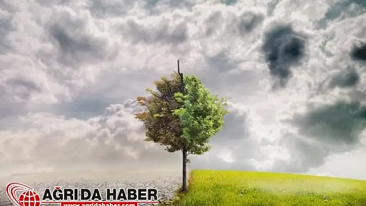 Yapılan İklim Değişikliği İncelemesinden Korkutan Haber