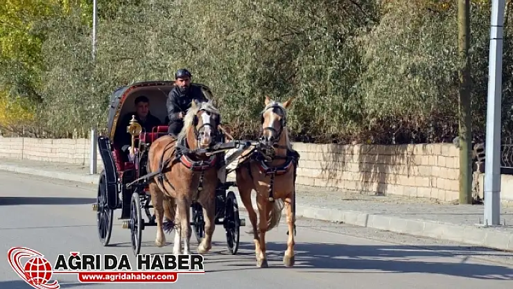 Doğubayazıt'ta Faytonla ''Nostaljik Şehir Turu''