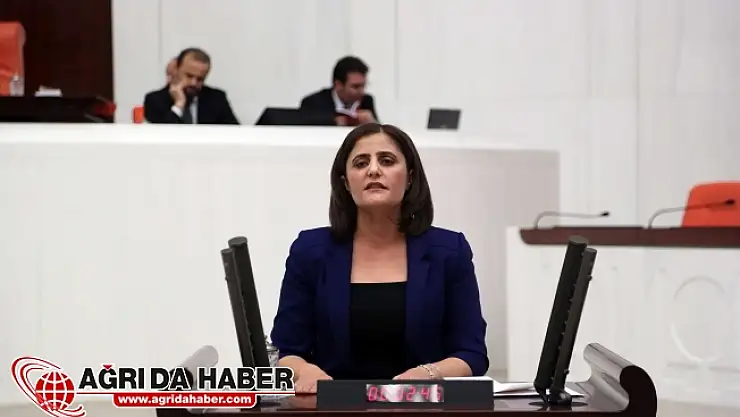 Ağrı Milletvekili Dirayet Taşdemir Fişleme Olayını Meclise Taşıdı