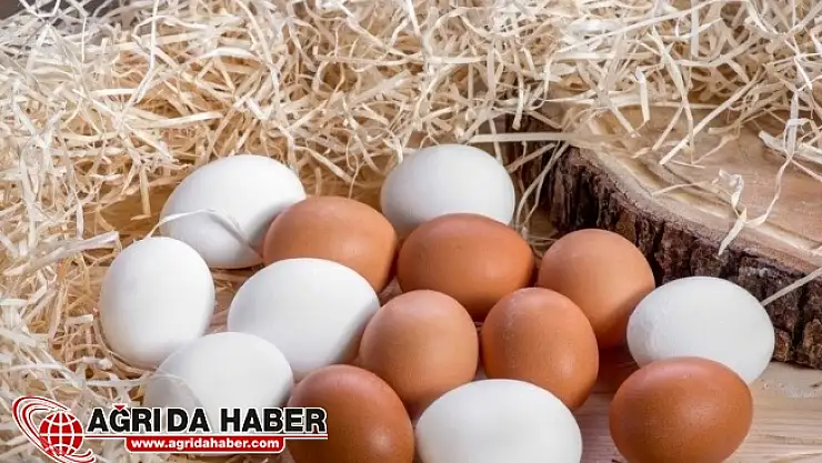 Yumurtanın İyisi Nasıl Anlaşılır? Yumurta Kalitesine Göre Kodlandı!