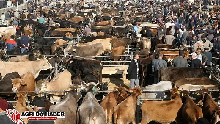 Çaldıkları Hayvanları Pazarda Satarken Yakalandılar!