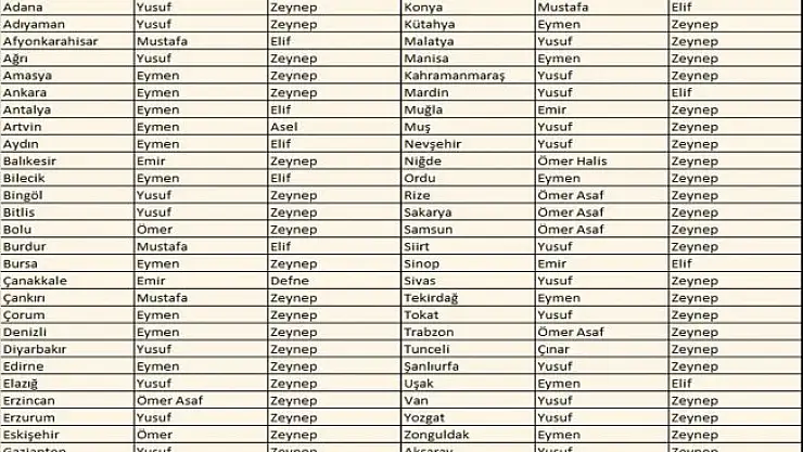 İllere göre popüler bebek isimleri açıklandı