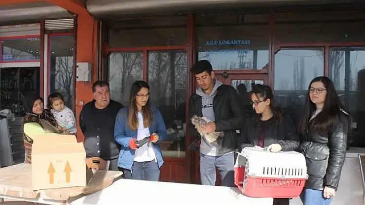 Iğdır'da Kulaklı Orman Baykuşu koruma altına alındı