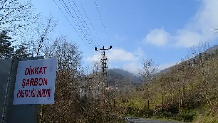 Trabzon'da şarbon tehlikesi nedeniyle bir mahalle daha karantinaya alındı