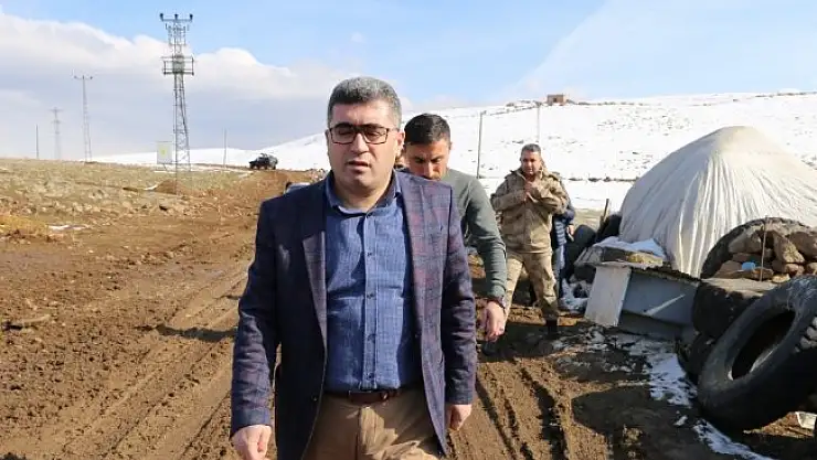 Yardım koyunları beşiz ile üçüz doğuruyor