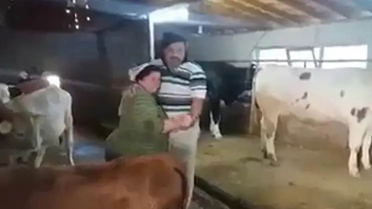 Ahırda şarkı söyleyip, dans eden çift fenomen oldu