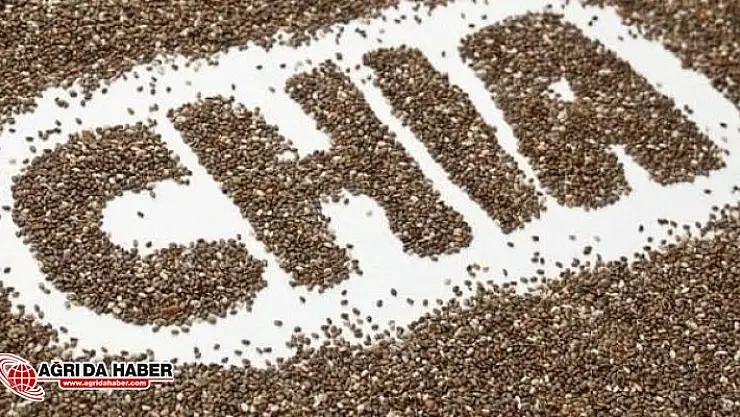 Chia Tohumu Nedir? Chia Tohumu Nerede Kullanılır? Chia Tohumu Tok Tutar Mı?