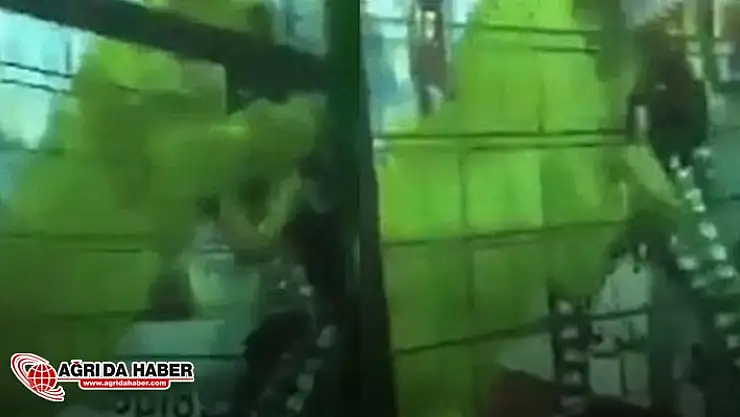 Cidde Bahar Festivalinde Büyük Dehşet! Aslan Seyircilerin arasına daldı