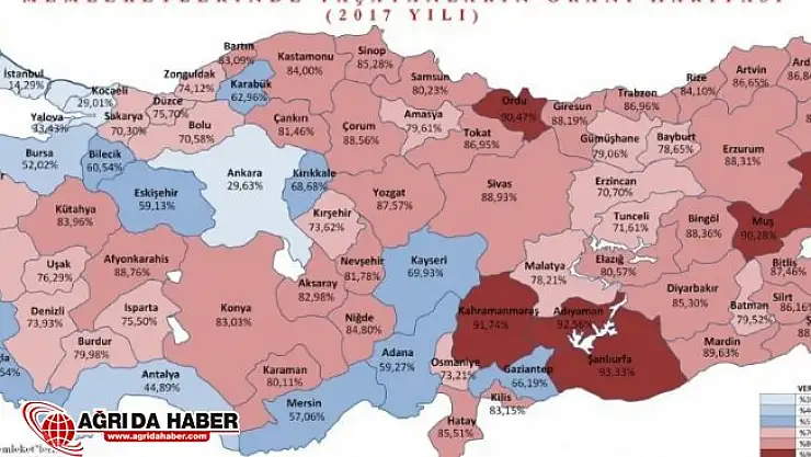 Türkiye nüfusunun yarısından fazlası memleketinde yaşıyor
