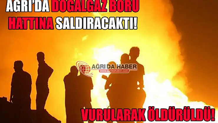 Ağrı'da Doğalgaz Boru Hattına Saldırı Hazırlığındaki Terörist Öldürüldü