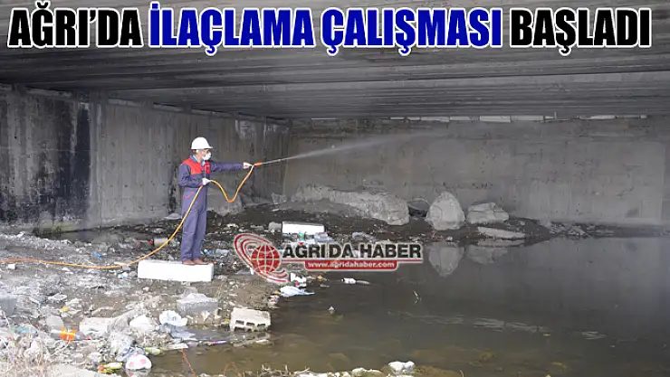 Ağrı'da Haşerelere Karşı İlaçlama Çalışması Başladı