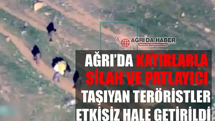 Ağrı'da Katırlarla Silah ve Patlayıcı Taşıdılar!
