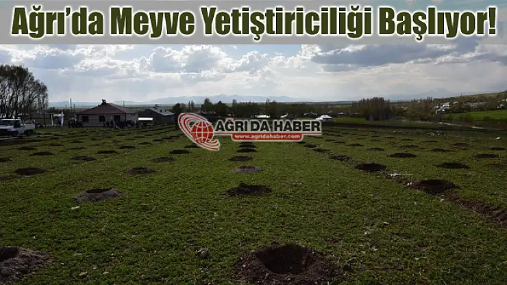 Ağrı'da Meyve Yetiştiriciliği ve Geliştirmesi Projesi Hayata Geçti