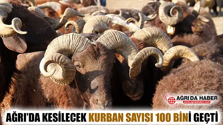 Ağrı'da Bu Yıl 130 Bin Küçükbaş Hayvan Kurban Edilecek