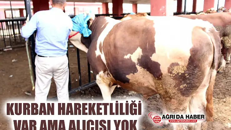 Ağrı'da Kurban Hareketliliği Var Ama Alıcı Yok