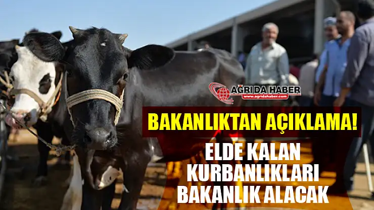 Kurban Bayramı Sonrası Elde Kalan Kurbanlıkları Bakanlık Alacak