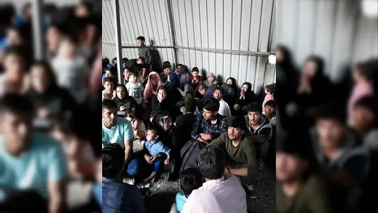 Van'daki Operasyon'da 299 Kaçak Yakalandı
