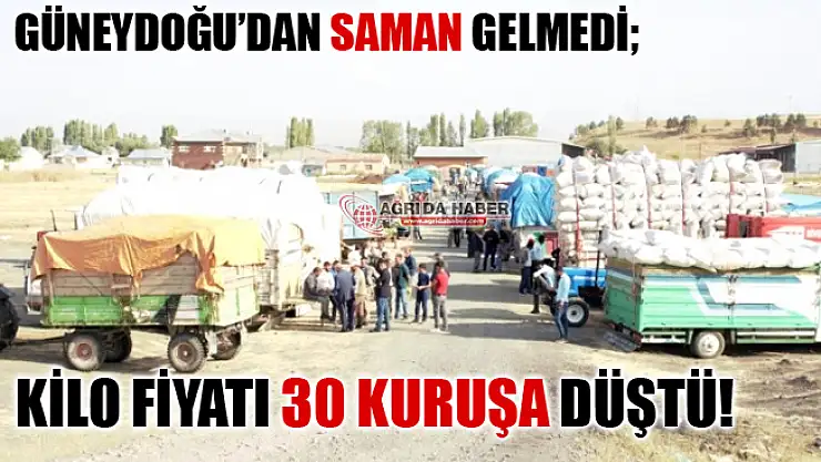 Ağrı'da Kış Mevsiminde 1 Liraya Satılan Saman Yazın 30 Kuruşa Düşüyor!