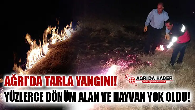 Ağrı'da Tarla Yangını! Yüzlerce Dönüm ve Canlı Türü Yok Oldu!