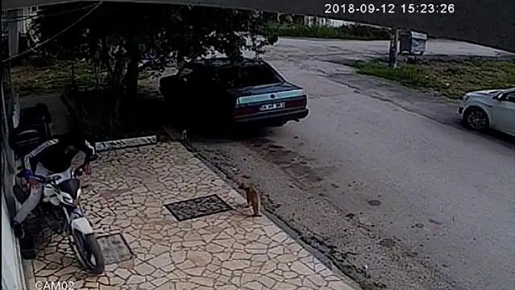 Motorsiklet Hırsızları Kaza Yapınca Yakayı Ele Verdi.