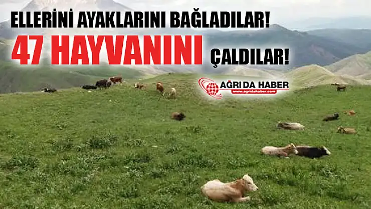 Patnos'ta Besicinin Ellerini ve Ayaklarını Bağlayıp 47 Hayvanını Çaldılar!