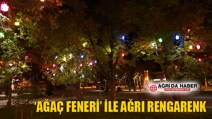 'Ağaç Feneri' ile Ağrı Artık Rengarenk