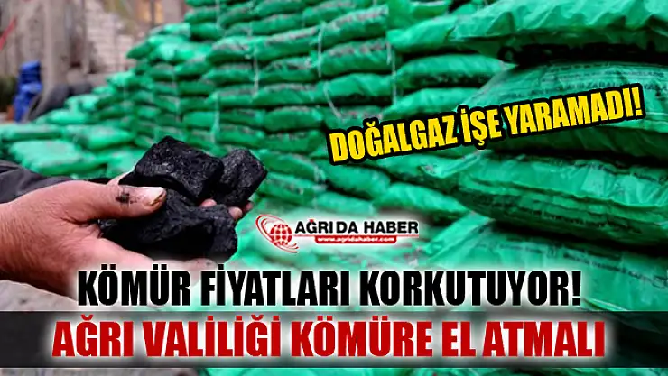 Ağrı'da Kömür fiyatları Halkı Korkutuyor!