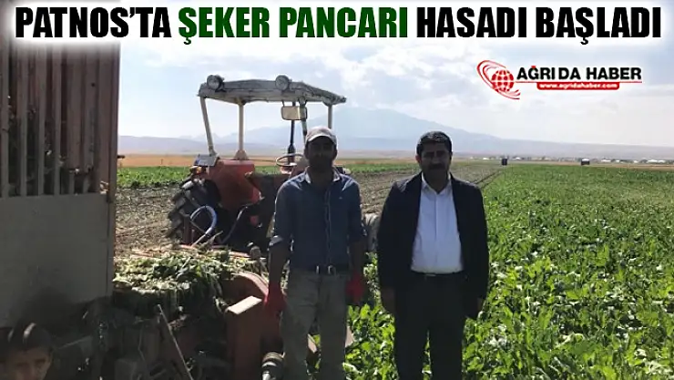 Ağrı Patnos'ta Şeker Pancarı Hasadı Başladı