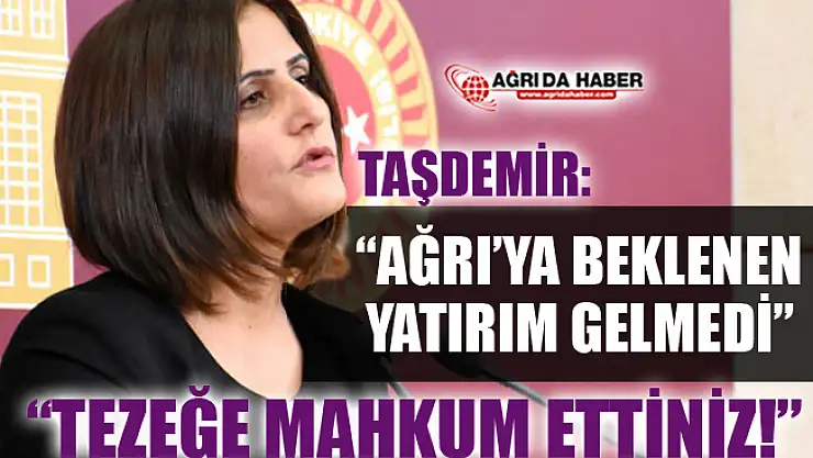 HDP Ağrı Milletvekili Dirayet Taşdemir'den Beklenen Yatırımın Yapılmadığı İddiası