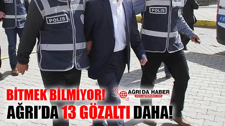 Ağrı Merkezli FETÖ/PDY Operasyonu! 13 Zanlı Gözaltında