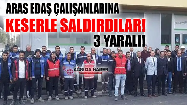 Ağrı Patnos'ta Aras Edaş Çalışanlarına Keserli Saldırı