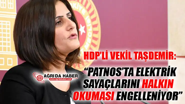 HDP Ağrı Milletvekili Taşdemir'den Patnos'taki Elektrik Sayaçları açıklaması
