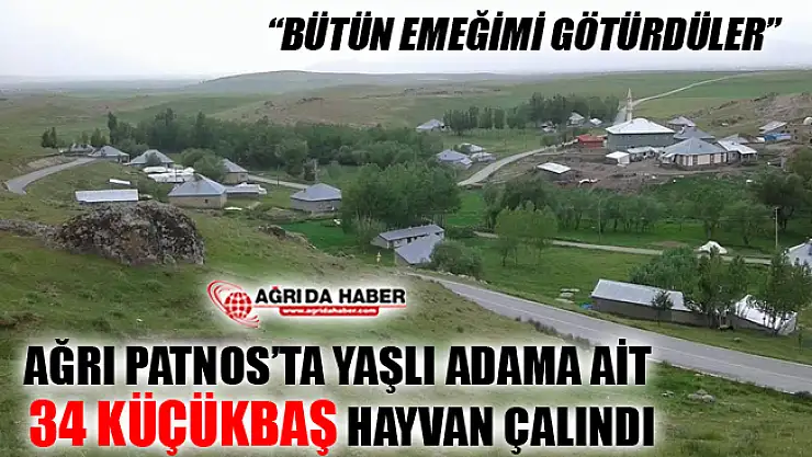 Ağrı Patnos'ta 34 Küçükbaş Hayvan Çalındı