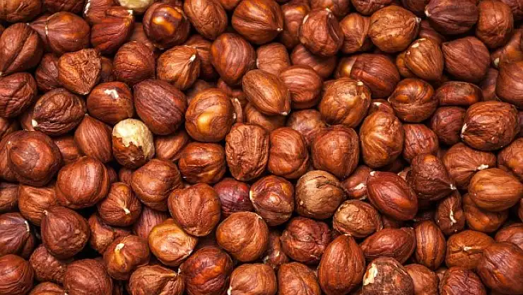 Çiğ Fındığın İnsana Faydaları Saymakla Bitmiyor