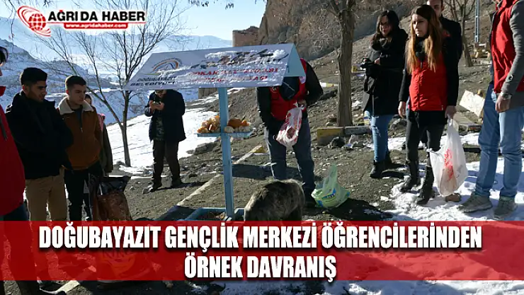 Doğubayazıt Gençlik Merkezi Öğrencilerinden Yaban Hayvanlarına Yem