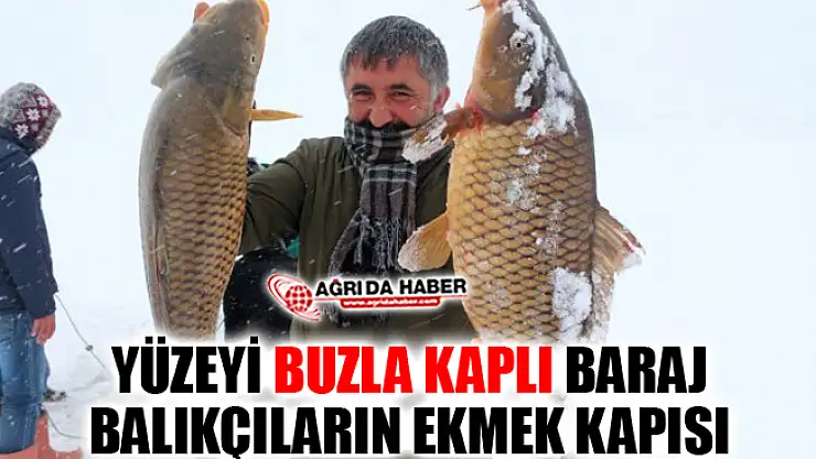 Ağrı'da Buz Tutan Yazıcı Barajı Balıkçılara Ekmek Kapısı Oldu