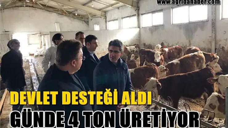 Devlet Desteği sayesinde Kurulan Çiftlikte Gün içerisinde 4 Ton Süt Üretiliyor