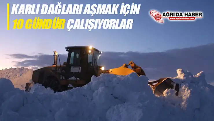 Ağrı'da Karlı Dağları Aşmak İçin 10 Gündür Çalışıyorlar