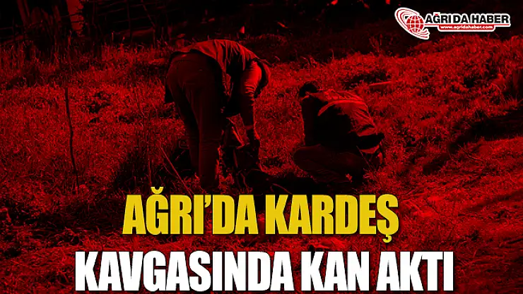 Ağrı'da Kardeş Kavgasında Kan Aktı