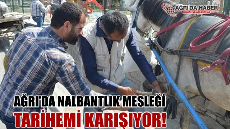Gelişen Tekonoloji ile Tarihe karışan meslek nalbantlık