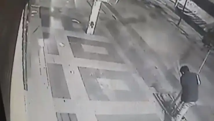 O Vicdansız Ağacı Kırmak için dakikalarca uğraştı!