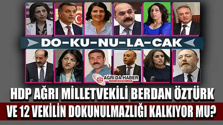 HDP Ağrı Milletvekili Berdan Öztürk ve 12 Vekilin Dokunulmazlığı Kaldırılıyor mu?